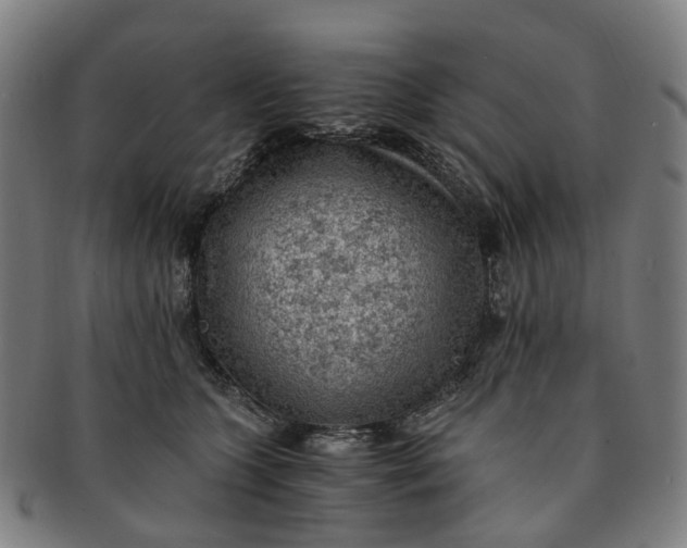 X0000091010563200708241515