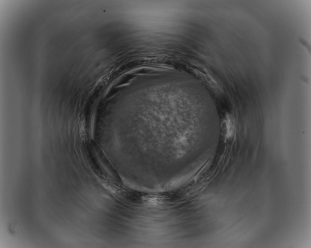 X0000091010564200708241515