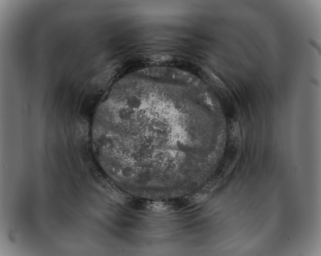 X0000091010565200708241515