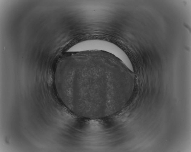 X0000091010566200708241515