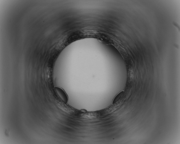 X0000091010567200708241515