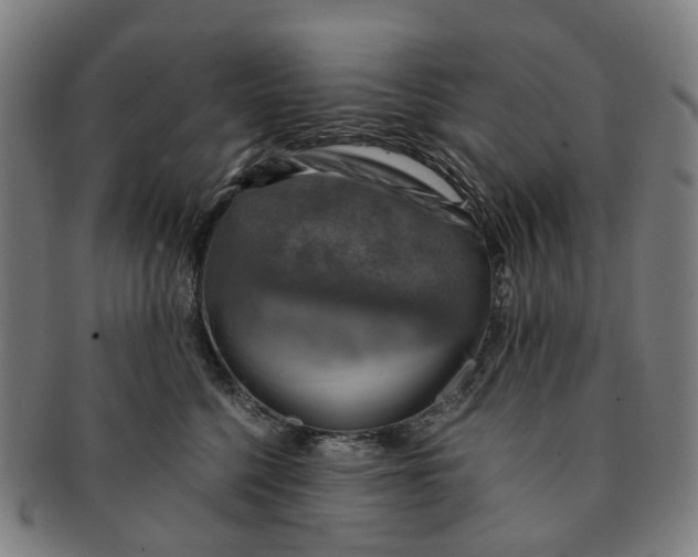 X0000091010568200708241515