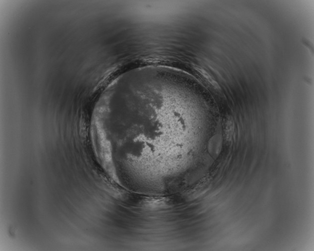 X0000091010569200708241515