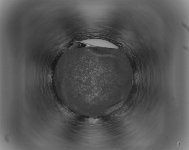 X0000091010570200708241515