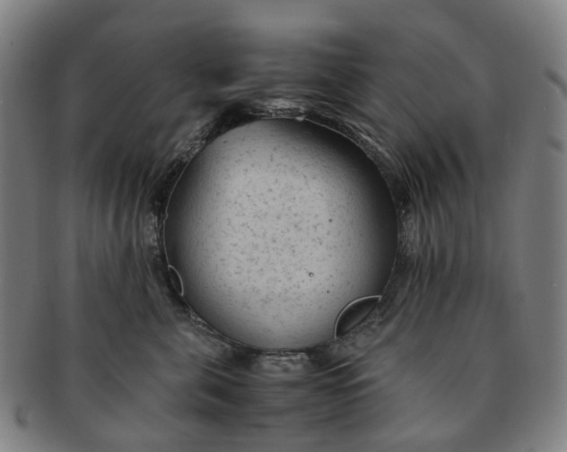 X0000091010571200708241515