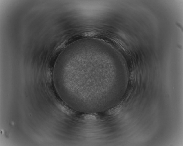 X0000091010572200708241515