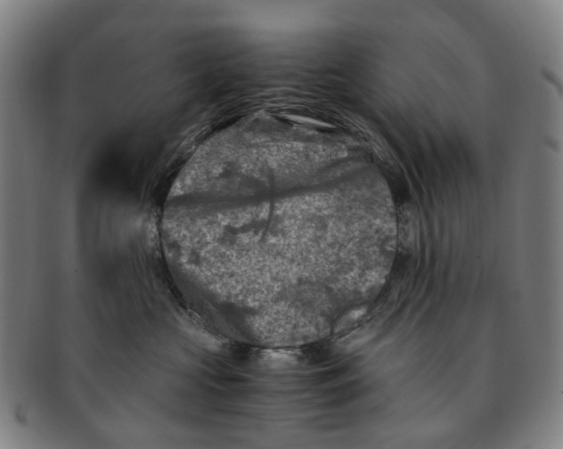 X0000091010573200708241515