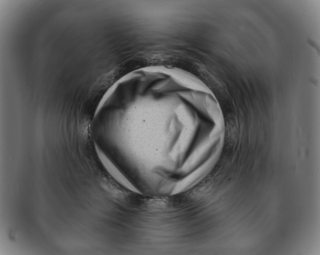 X0000091010574200708241515