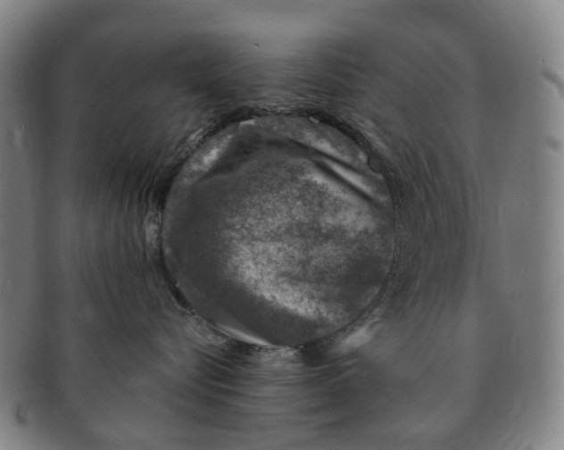 X0000091010576200708241515