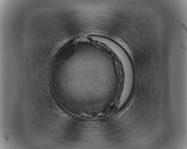 X0000091010577200708241514