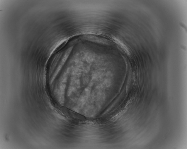 X0000091010580200708241514