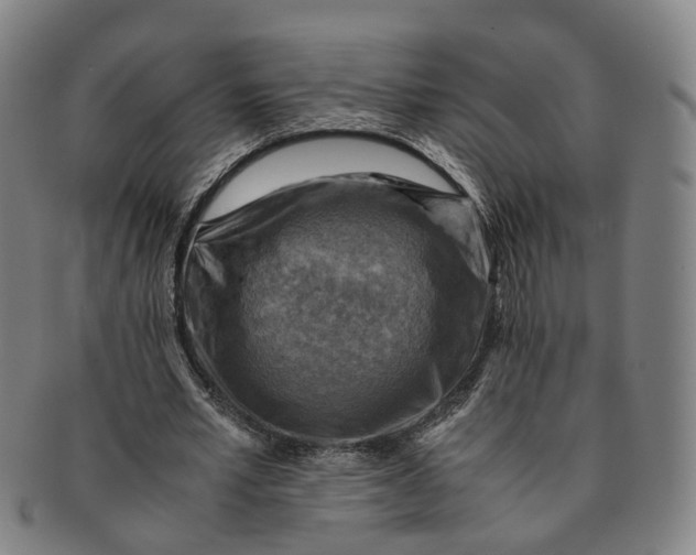 X0000091010581200708241514