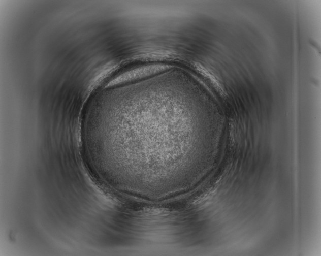 X0000091010582200708241514