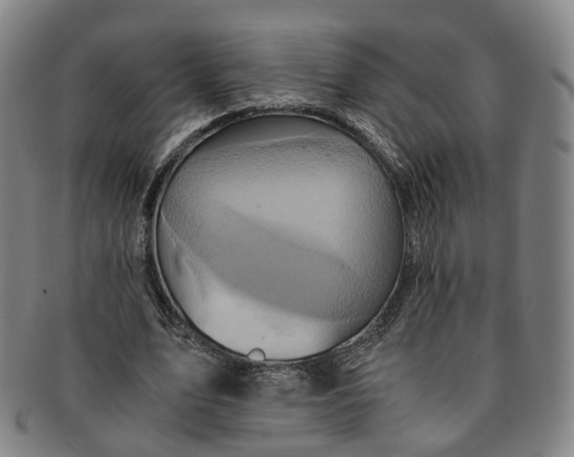 X0000091010583200708241514