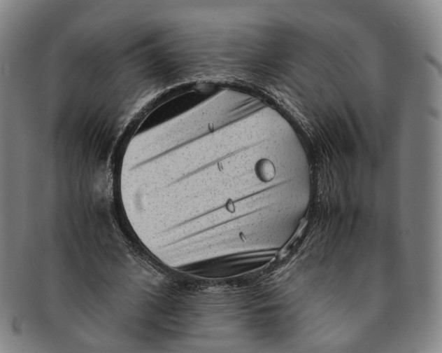 X0000091010584200708241514