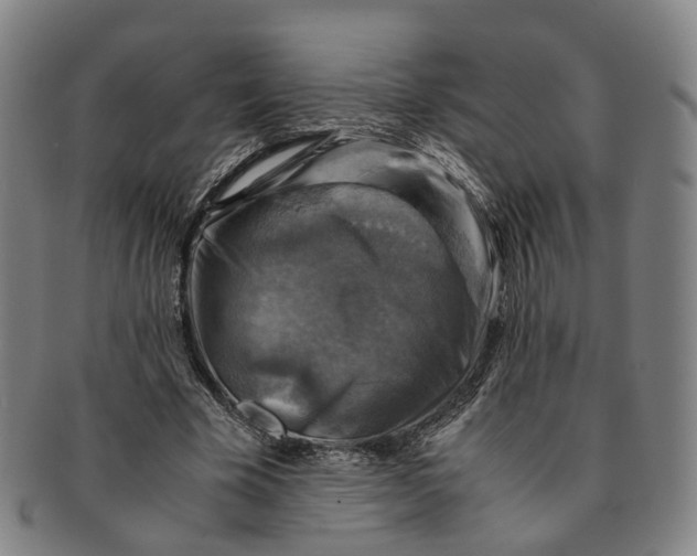 X0000091010585200708241514