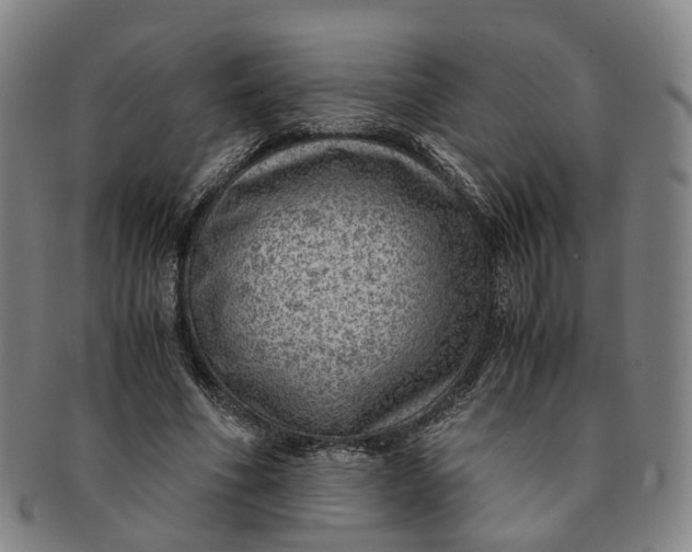 X0000091010586200708241514