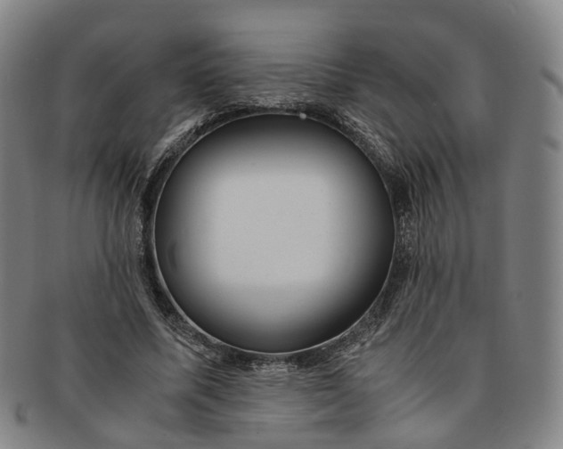 X0000091010587200708241514