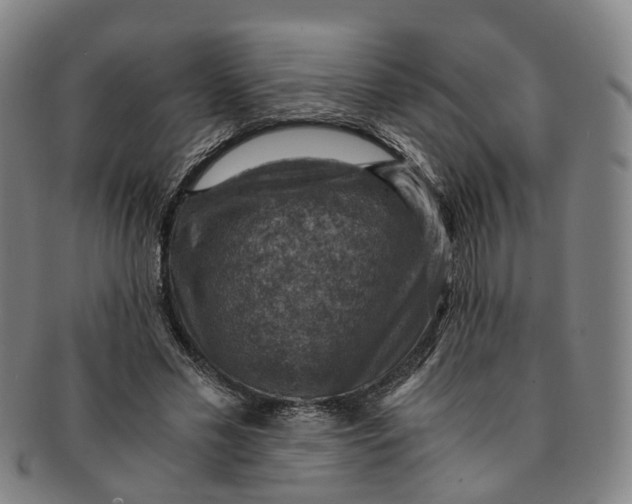 X0000091010589200708241514