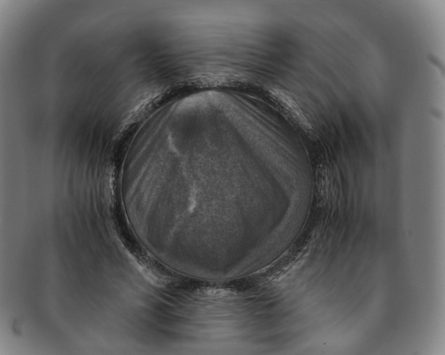 X0000091010590200708241514