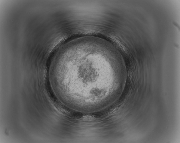 X0000091010591200708241514