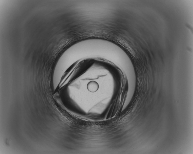 X0000091010593200708241514