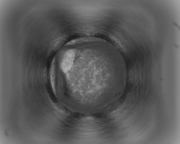 X0000091010594200708241514