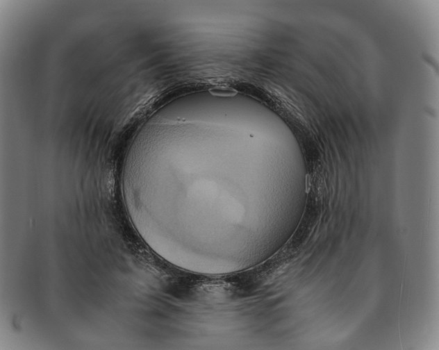 X0000091010595200708241514