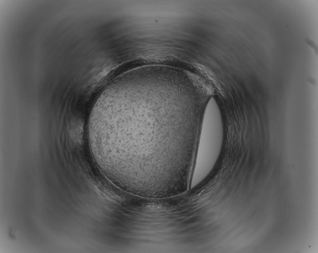 X0000091010596200708241514