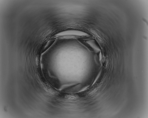 X0000091010597200708241514