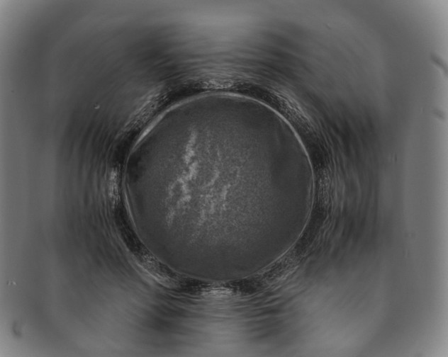 X0000091010598200708241514