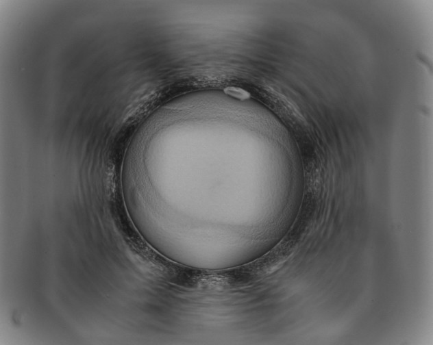 X0000091010599200708241514