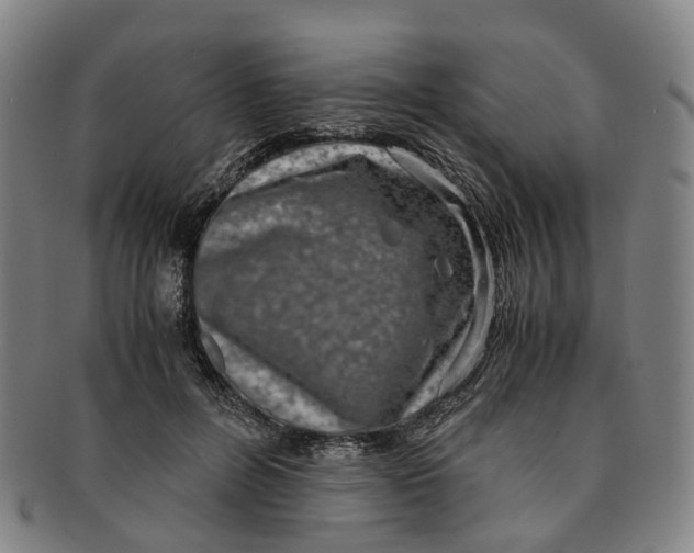 X0000091010600200708241514