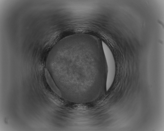 X0000091010601200708241514