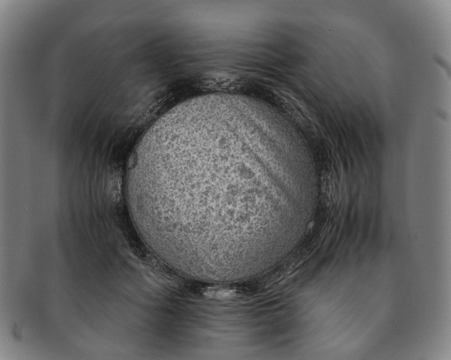 X0000091010602200708241514