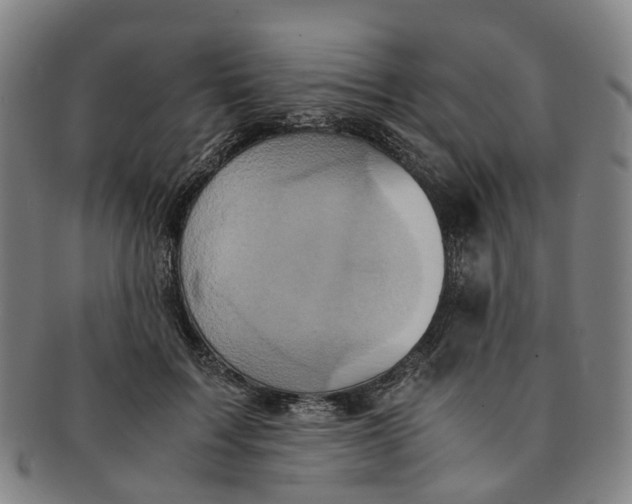 X0000091010603200708241514