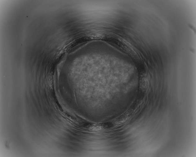 X0000091010604200708241514