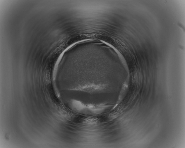 X0000091010606200708241514