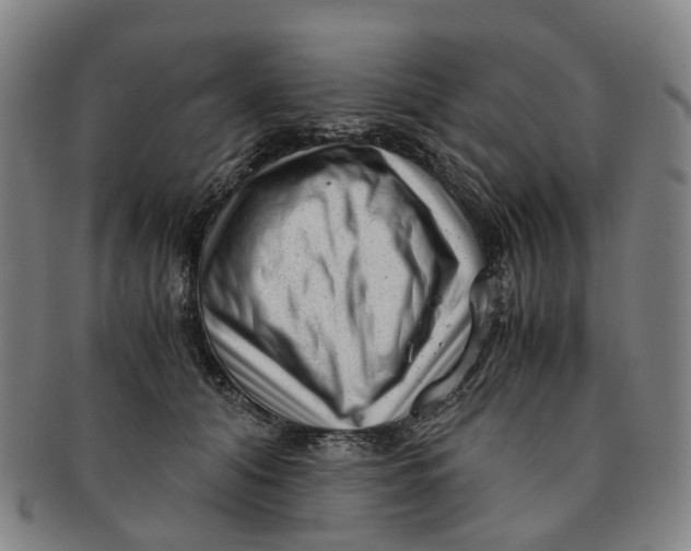 X0000091010608200708241514