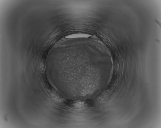 X0000091010609200708241514