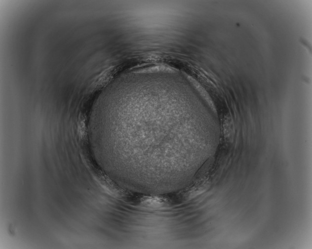 X0000091010611200708241514