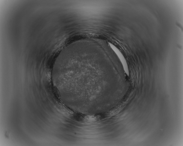 X0000091010613200708241514