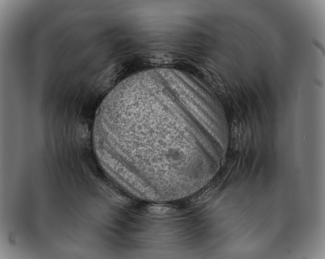 X0000091010614200708241513