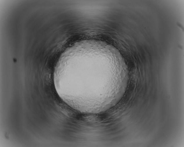 X0000091010615200708241513