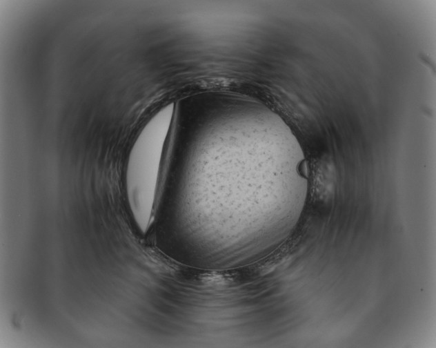 X0000091010616200708241513