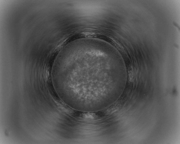 X0000091010618200708241513