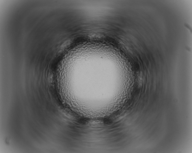 X0000091010619200708241513