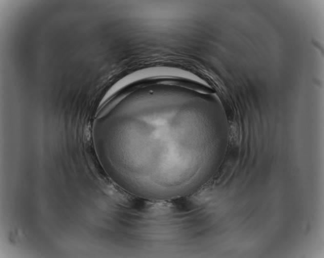 X0000091010621200708241513