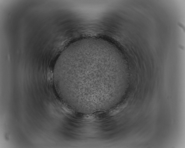 X0000091010624200708241513