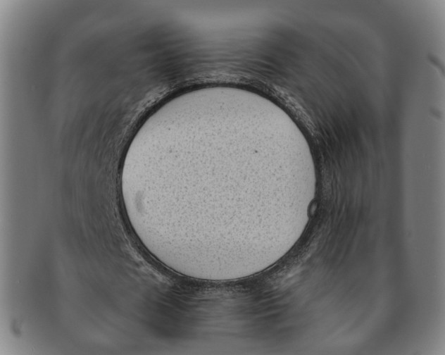 X0000091010625200708241513